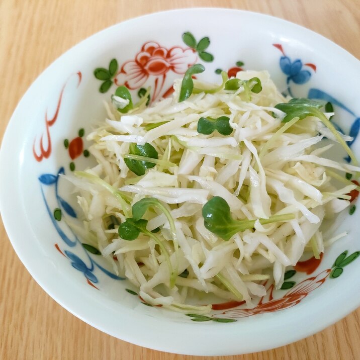 キャベツとかいわれ大根のサラダ